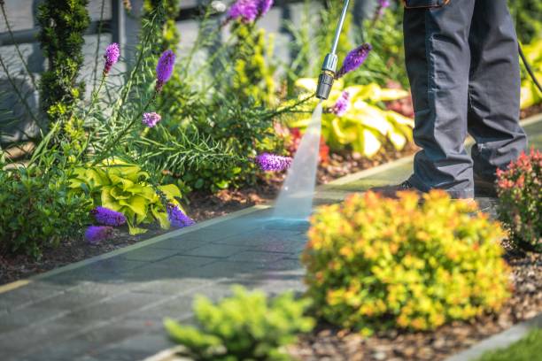  Wmington, IL Pressure Washing Pros